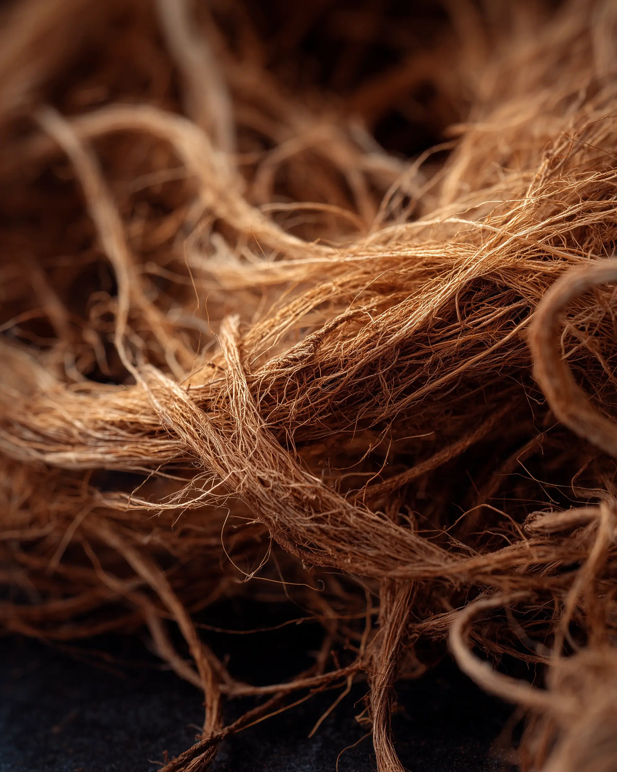 VETIVER